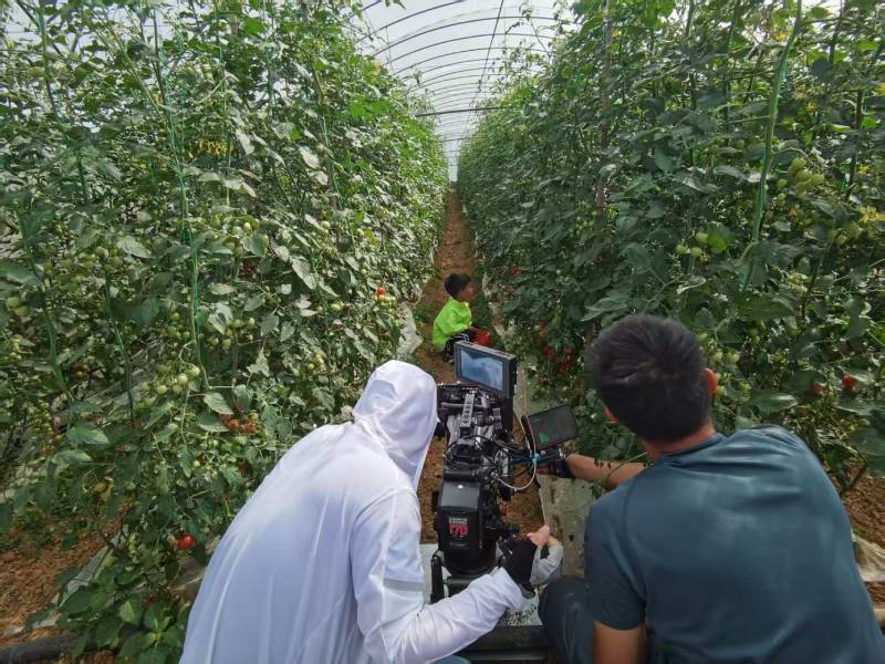 石首市产品宣传视频拍摄公司进阶指南，助力品牌抢占传播高地